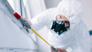 Best Residential Pest Control  in Clinton, NY